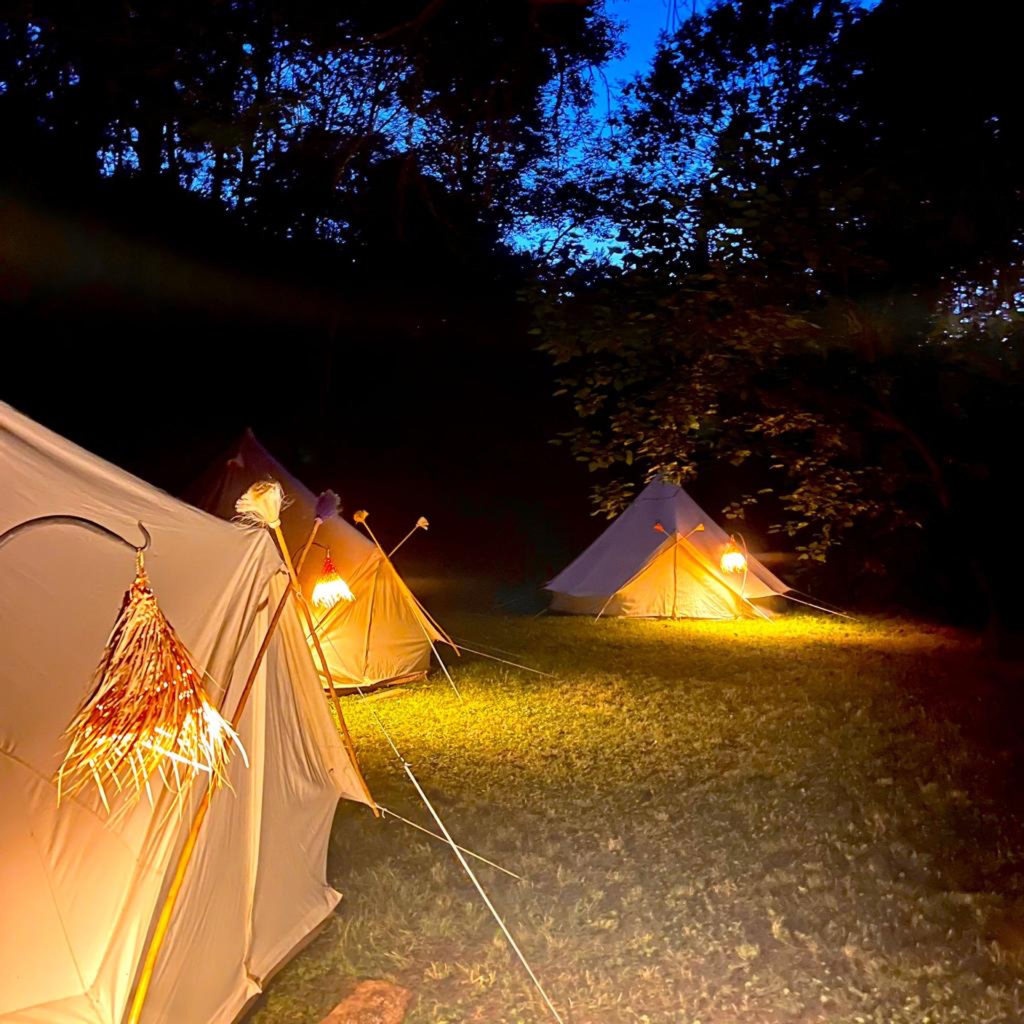 Les tentes illuminées dans les bois à la tombée de la nuit