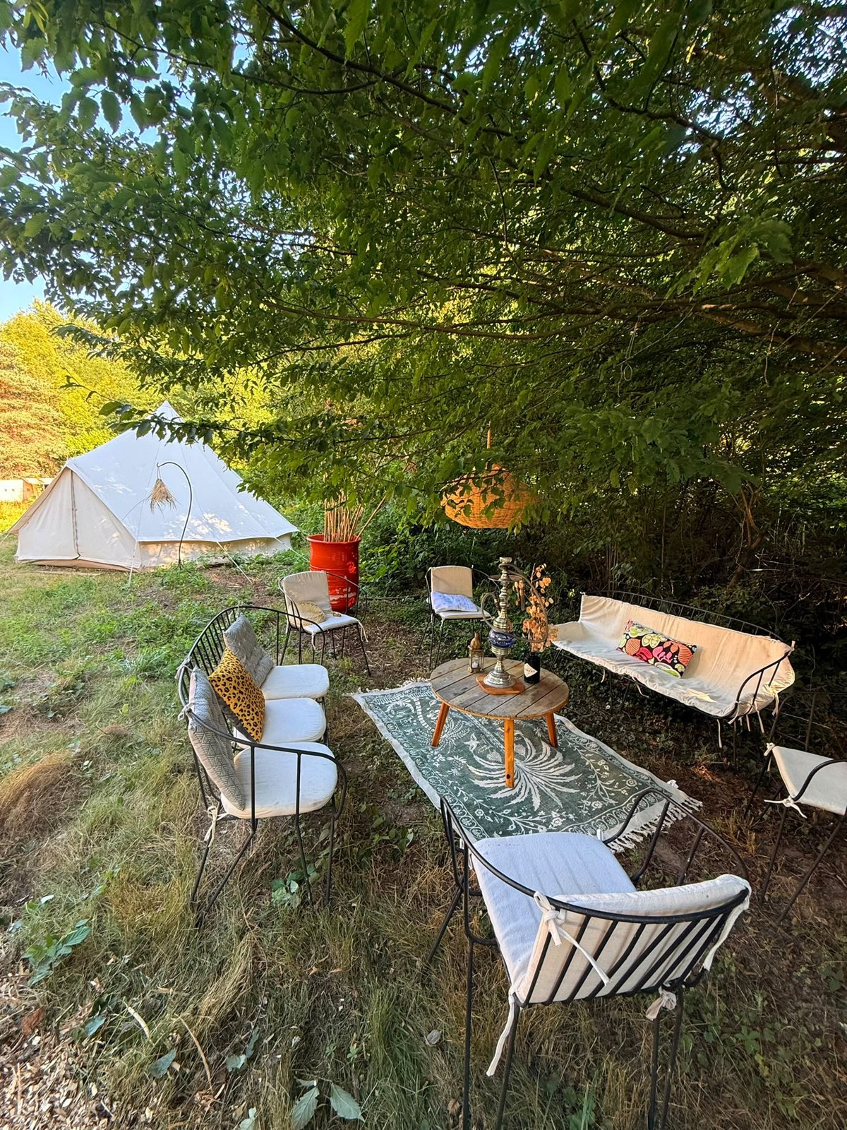 Des fauteuils et une table sous les arbres