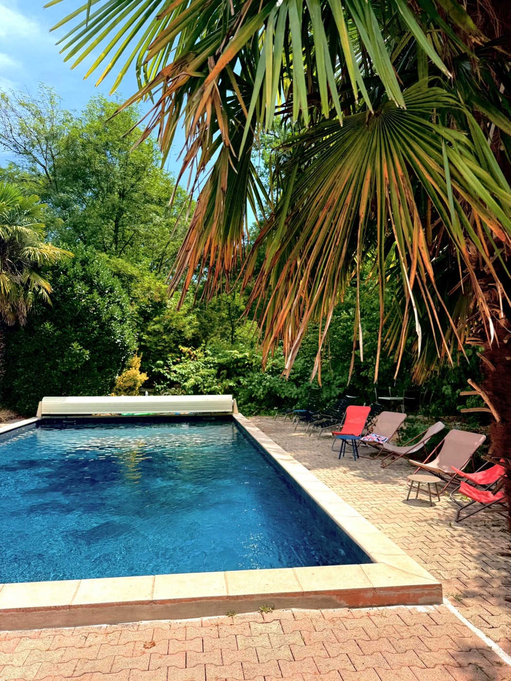 La piscine et ses transats à l’ombre des palmiers